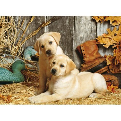 Puzzle Clementoni 1500el Labradory - 2